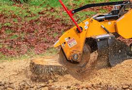 Best Leaf Removal  in Queensland, MD